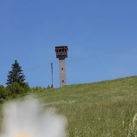 Rekreacni